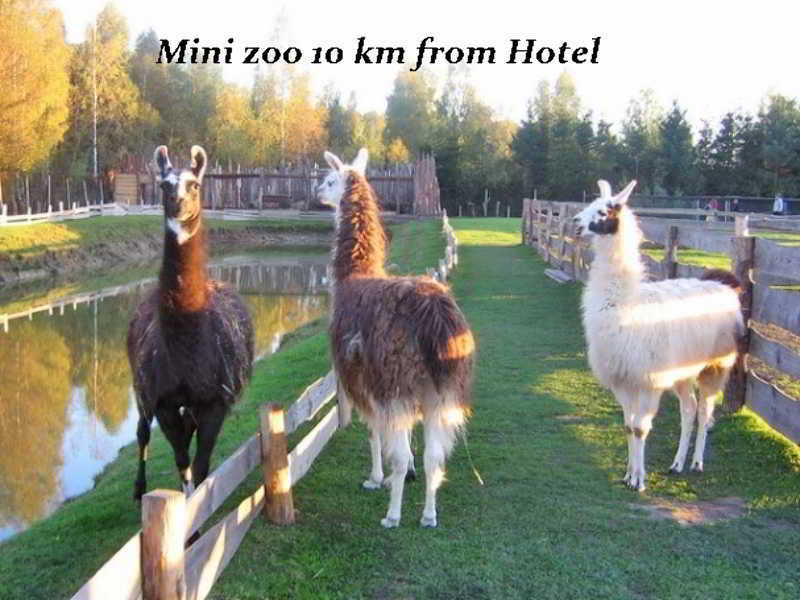 Hotel Pajurio Vieskelis Klaipėda Exteriör bild
